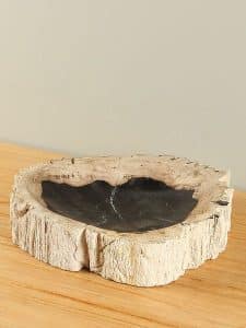 Plateau Fossiles Holz F-6