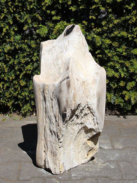 Versteend hout PU-15, 57 cm