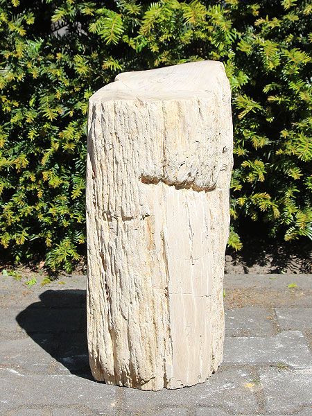 Versteend hout PU-4, 46 cm