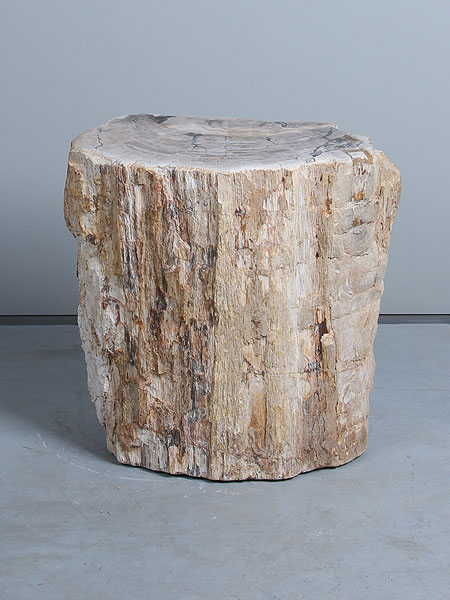 Bijzettafel versteend hout PJ-31