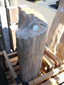 versteinertes Holz C86