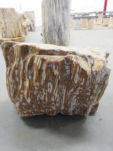 Fossiles Holz C16