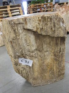 Fossiles Holz C32