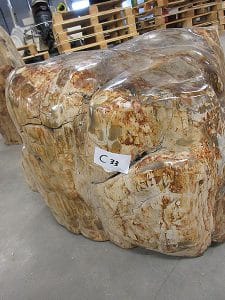 versteinertes Holz C33