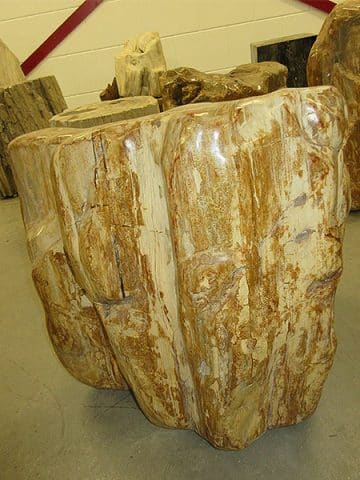 versteinertes Holz C40