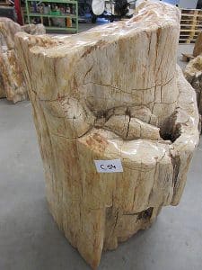 versteinertes Holz C54