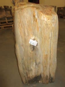 Fossiles Holz C61