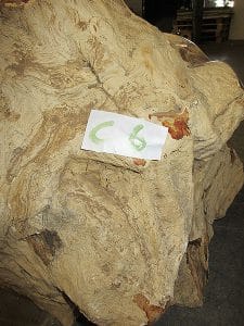 Fossiles Holz C6