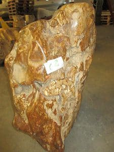 Fossiles Holz C8