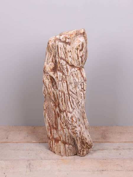 Fossiel hout YS-36