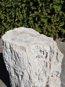 53 cm