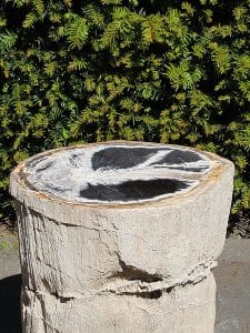 41 cm.