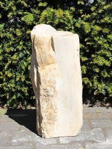 fossil Holz PU-4