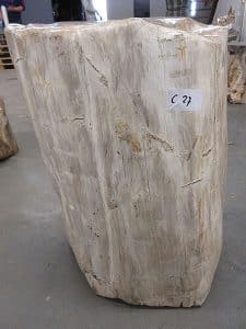 versteinertes Holz C27