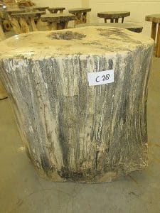 Fossiles Holz C28