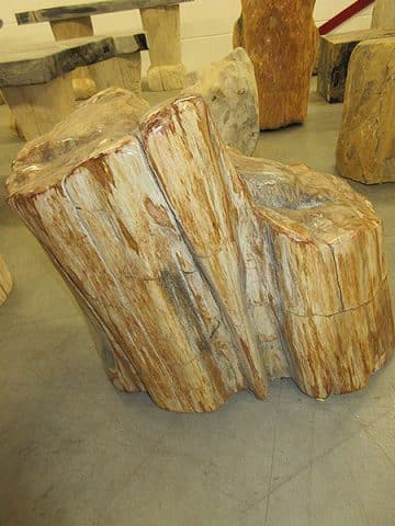 Fossiles Holz C30