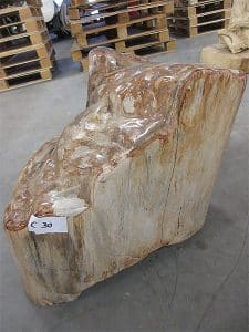 Fossiles Holz C30