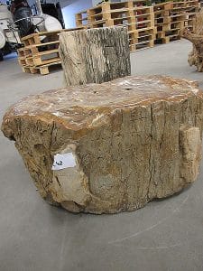 versteinertes Holz C42