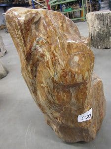 Fossiles Holz C50