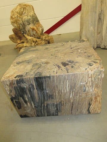 Beistelltisch Fossiles Holz C37