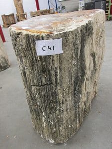 Beistelltisch Fossiles Holz C41