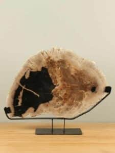 Fossiles Holz auf Standfuß N8