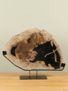 Fossiles Holz auf Standfuß N8