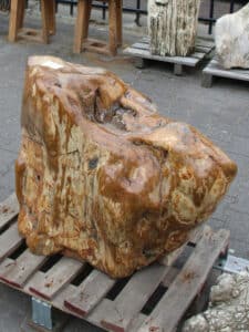 versteend hout c71