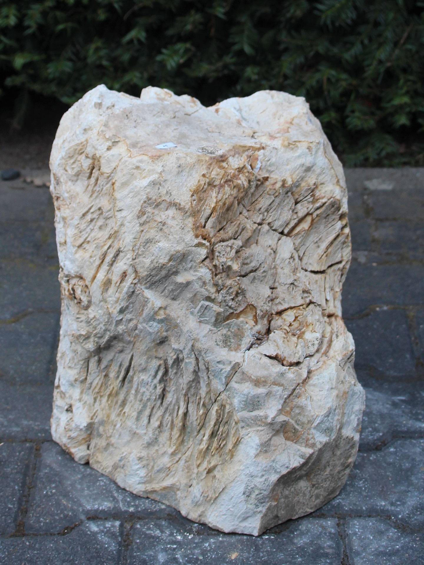 Versteend hout MA-09, 38 cm