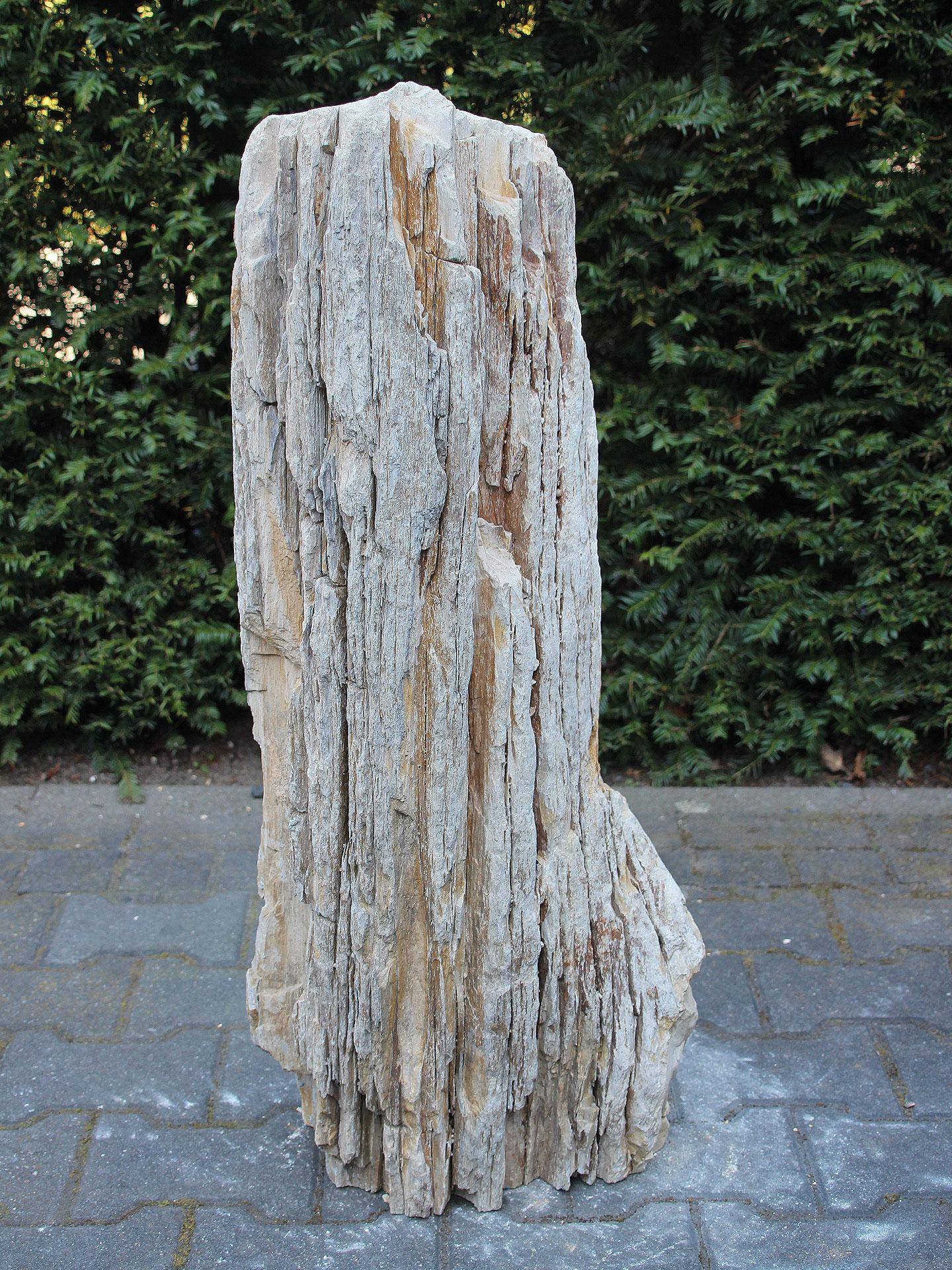 Versteend hout MA-32, 87 cm