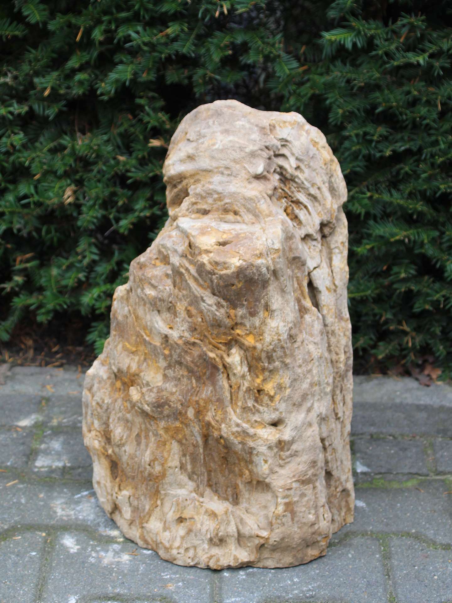 Versteend hout MA-38, 52 cm