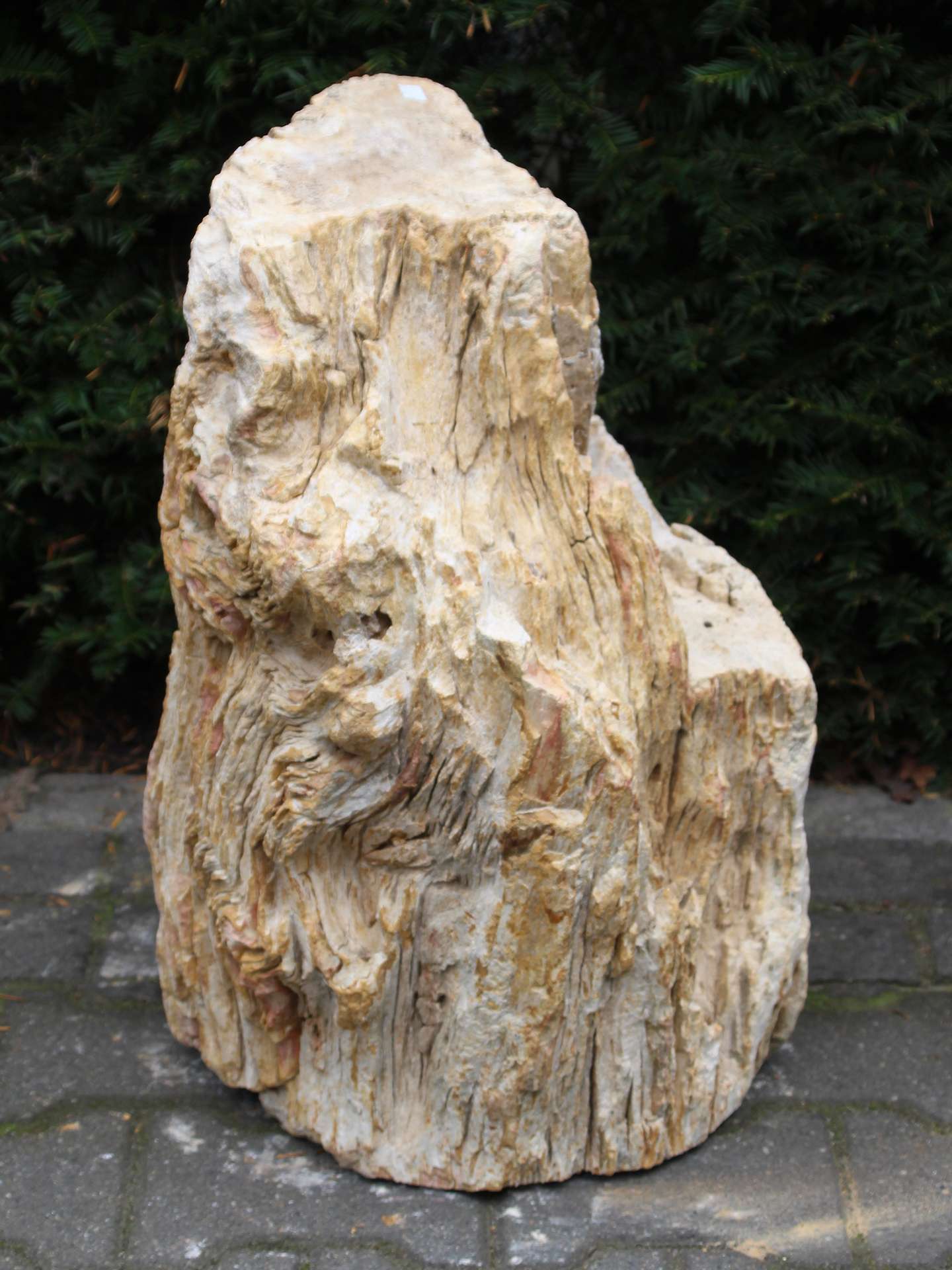 Versteend hout MA-39, 58 cm