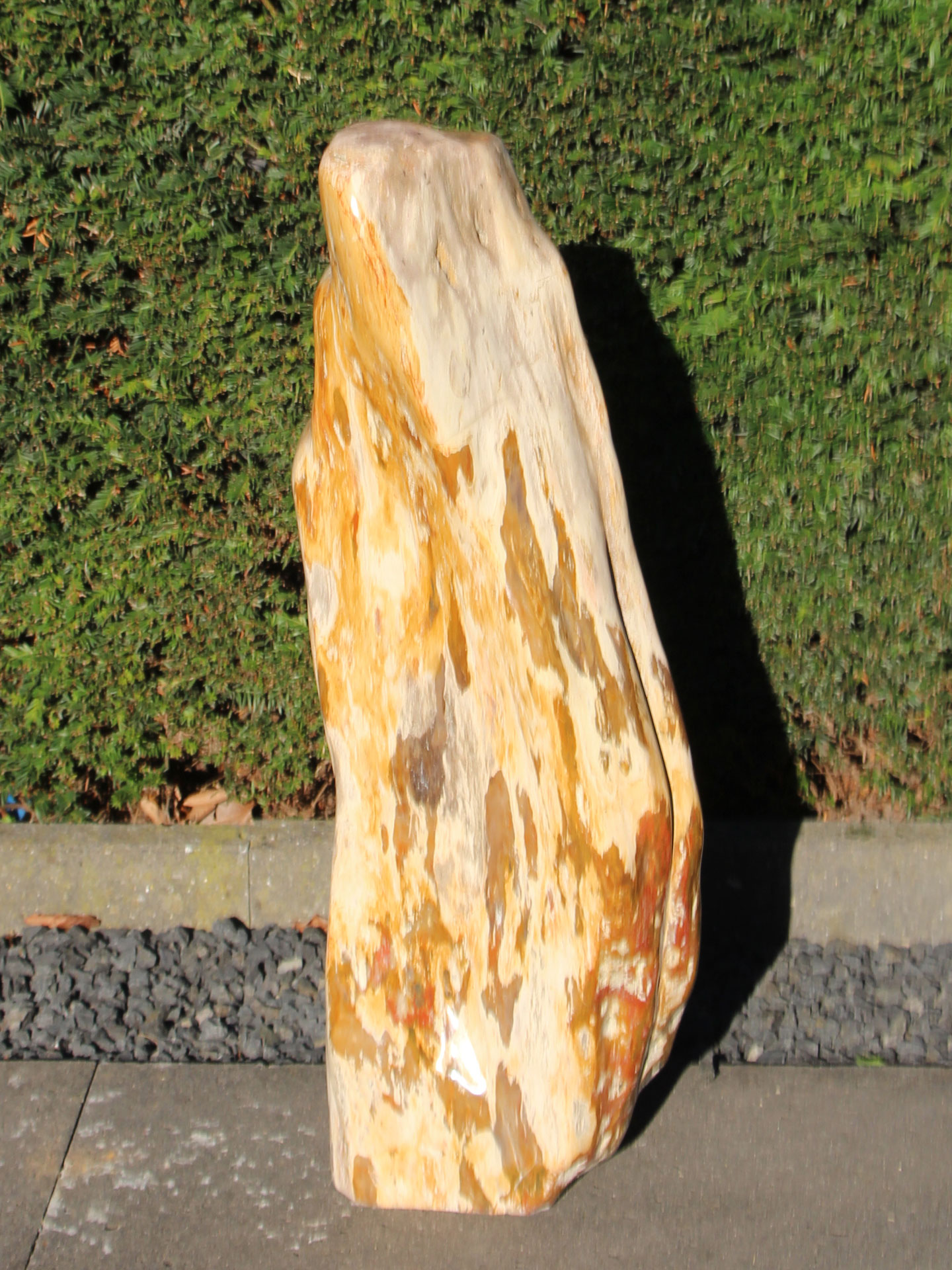 Fossiel Hout 250301, 71 cm