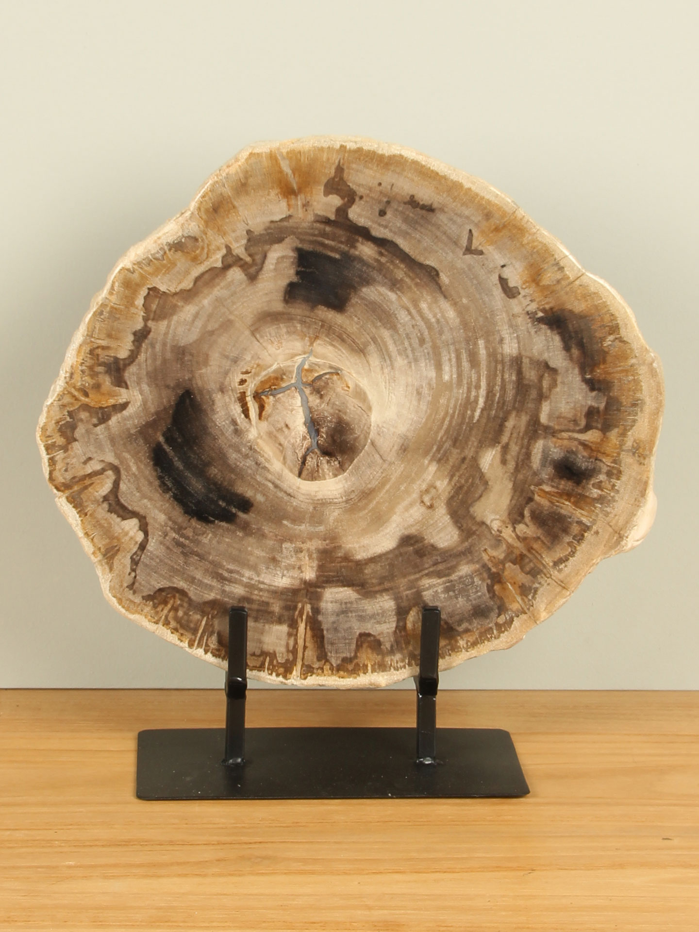 Schijf versteend hout op standaard nr. 25