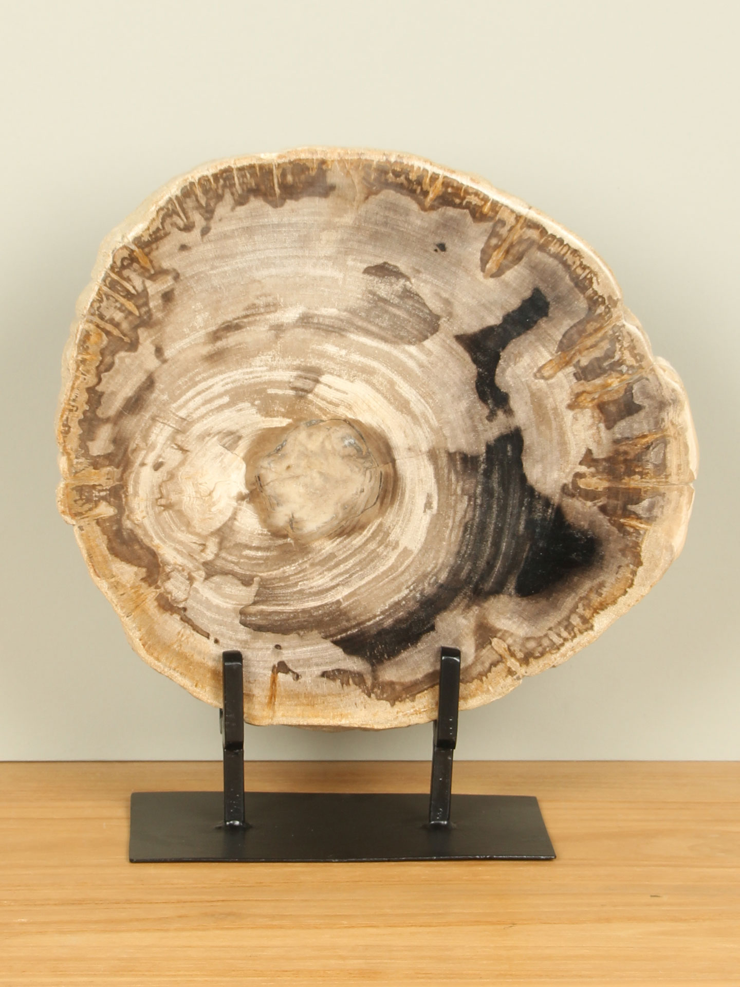 Schijf fossiel hout op standaard nr. 27